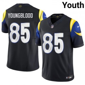 #85 Jack Youngblood Los Angeles Rams Youth Genuine Football Embroidery Jersey - Midnight Blue Edition 65212200
